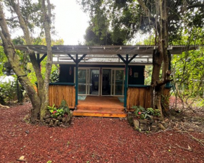 Jungle Cabin with 2 private bedrooms & bath